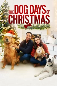Avec toi pour Noël