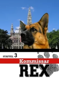 Rex, Chien flic