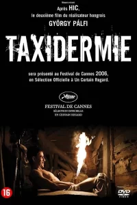 Taxidermie