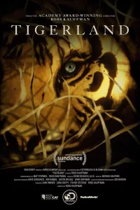 Tigerland : le dernier espoir du tigre
