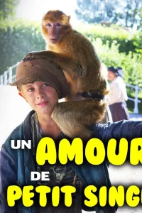 Un amour de petit singe